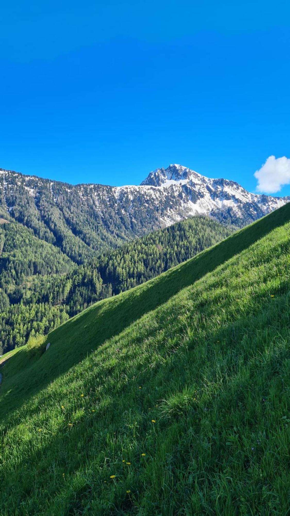 Gasserhof Campo di Trens Exterior foto